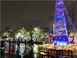 Cho một mùa Giáng sinh an lành